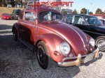 beetle vw classic car new year meeting 20050002