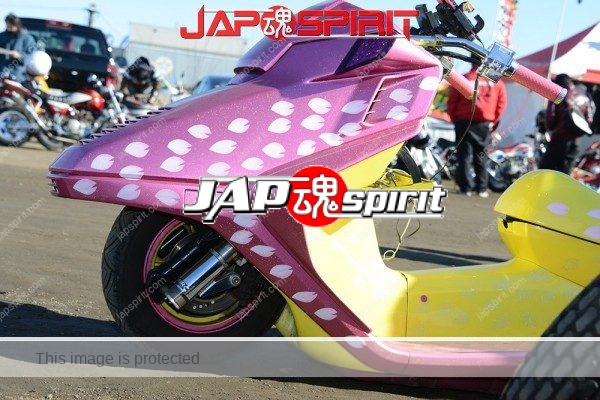Extreme long bike, Honda Fusion/Helix, Pink color with Sakura petal pattern (2)