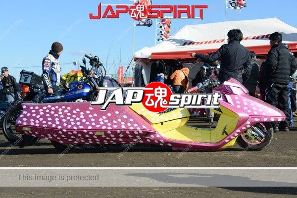 Extreme long bike, Honda Fusion/Helix, Pink color with Sakura petal pattern (3)