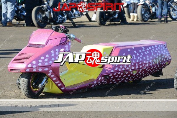 Extreme long bike, Honda Fusion/Helix, Pink color with Sakura petal pattern (5)