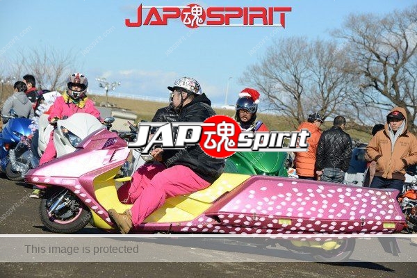 extreme long bike honda fusionhelix pink color with sakura petal pattern 8